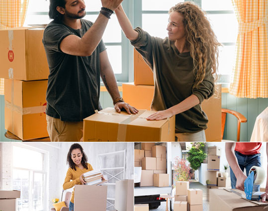 Best Cargo Packers and Movers Company